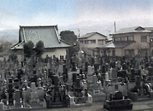 墓地