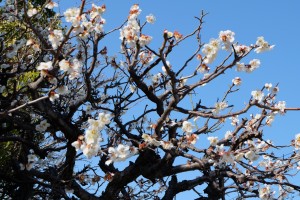 DSCF0410