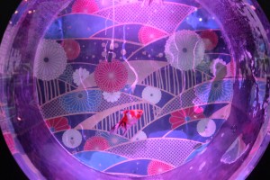 DSCF1245