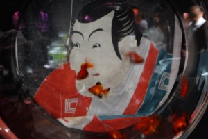 DSCF1250