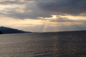 DSCF1559