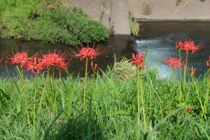 DSCF1689