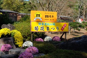 DSCF2078