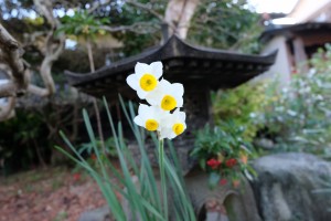 DSCF2864