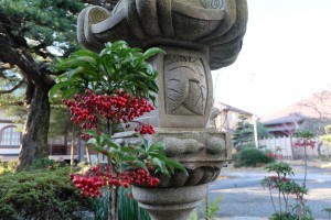 DSCF2875