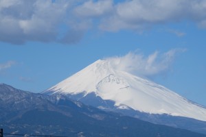 DSCF2951