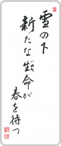 雪の下 新たな生命が 春を待つ