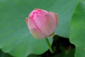 DSCF3848