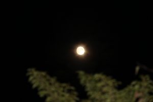img_2140