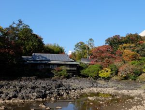 dscf4458-2