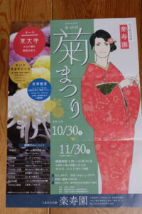 菊まつり
